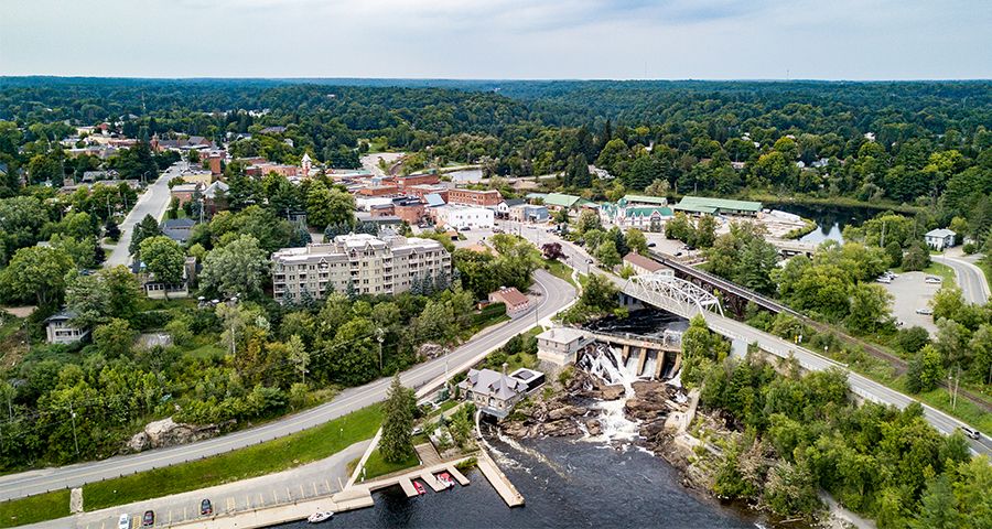 Ongoing maintenance required for preservation and improvement of Bracebridge’s urban forest 