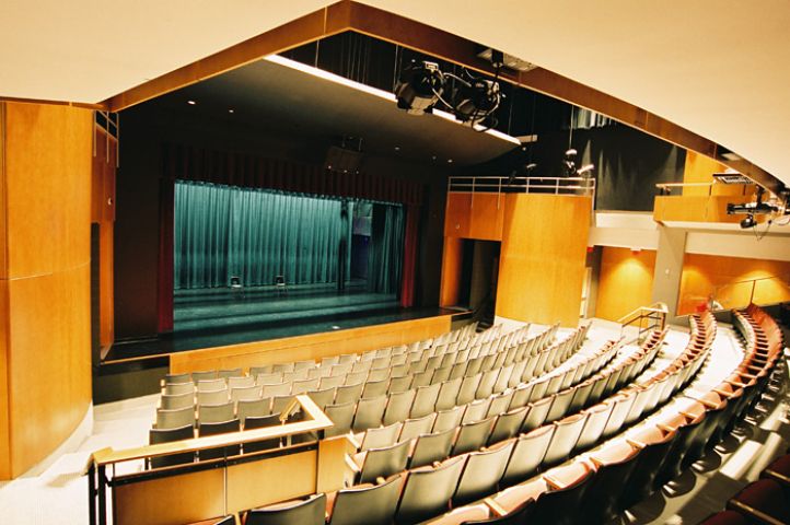 Roof Leaking At Rene Caisse Theatre