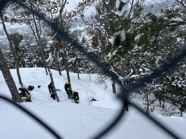 Firefighters rescue dog that had fallen down Lion's Lookout