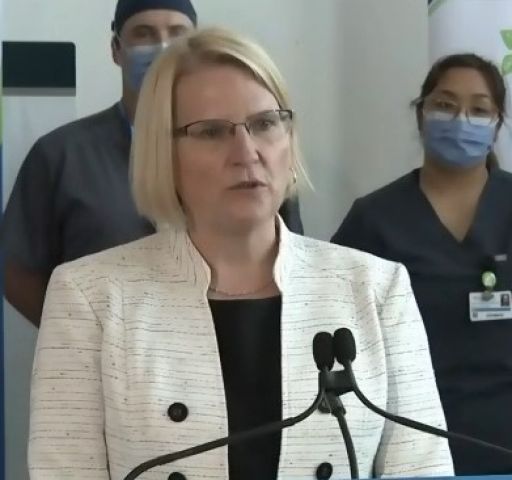 Province plans to privatize some healthcare services
