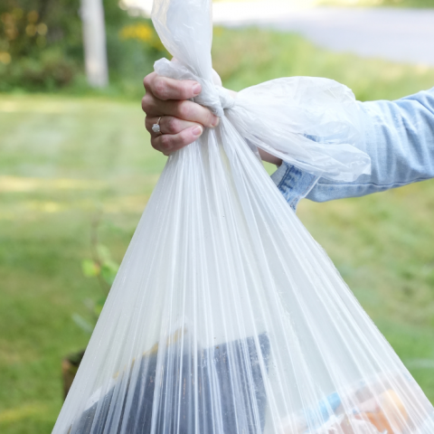 Clear garbage bag collection to start in March