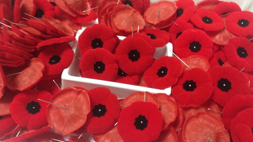 Poppy campaign underway