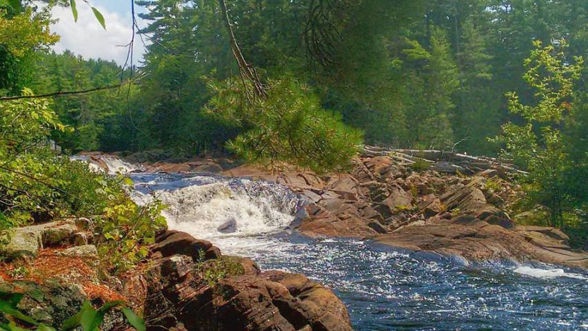 Bracebridge Transforming Wilson's Falls Trail