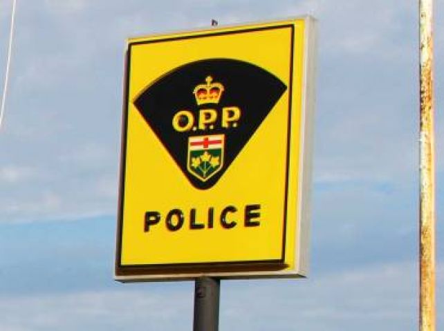 Driver faces stunt and impaired driving charges