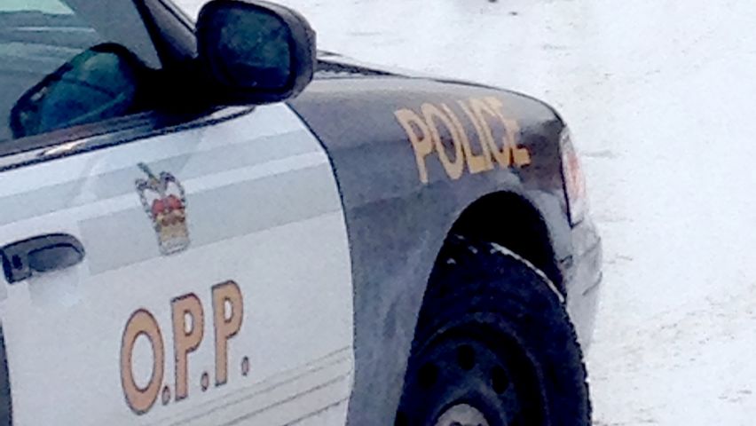 Driver charged with impaired, assault and theft of a vehicle