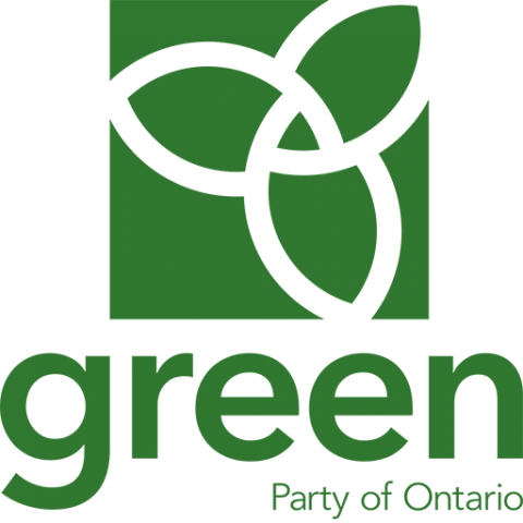 Matt Richter Is the New Ontario Green Party's Deputy Leader